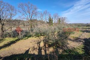 Terreno Agricolo Castelfiorentino [1/0373VRG]