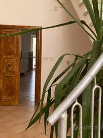 Casa vacanza al mare