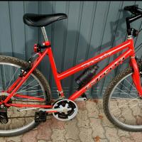 bicicletta ragazzo/uomo 26
