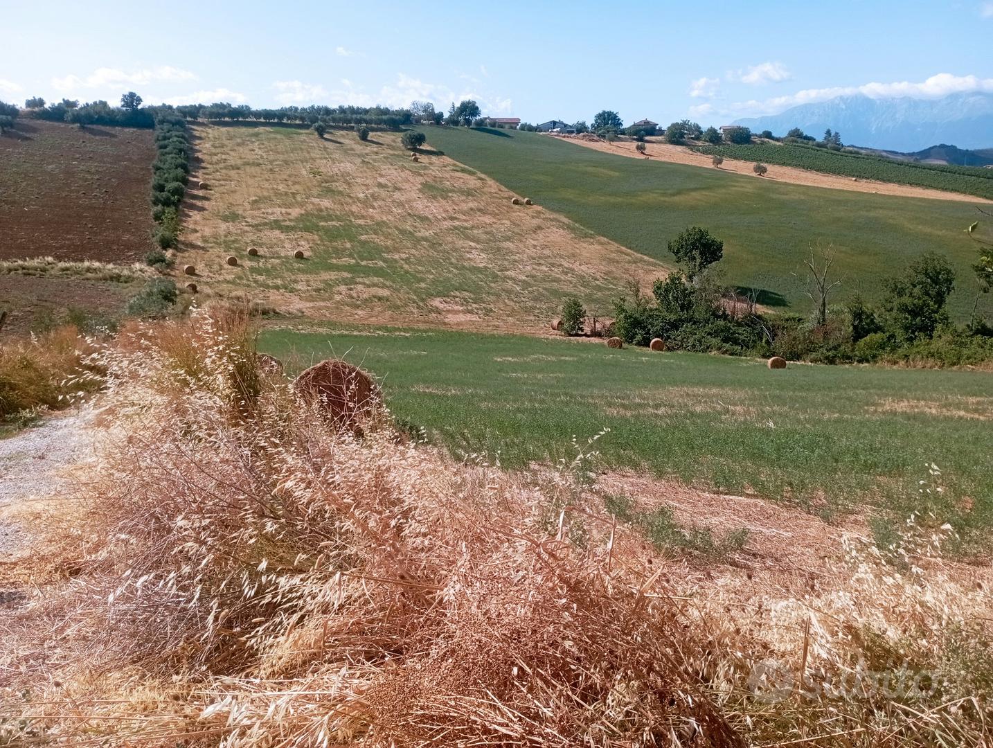 Terreno di 5 ettari con rustico - Altro