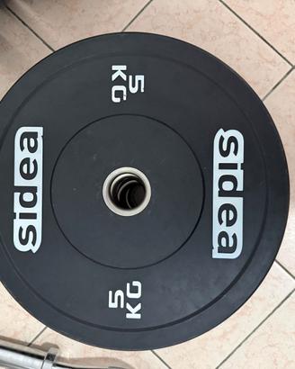 COPPIA DISCHI BUMPERS DA 5 KG