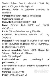 Bici gravel Triban GRVL120 XL