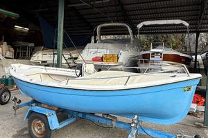 Gozzo in Vetroresina