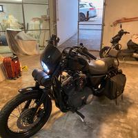 Harley Davidson sportster 1200 anno 2008