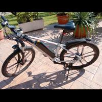 Bicicletta elettrica