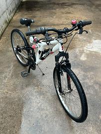 Mountain bike da24