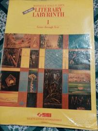 The new Literary labyrinth, libro di inglese