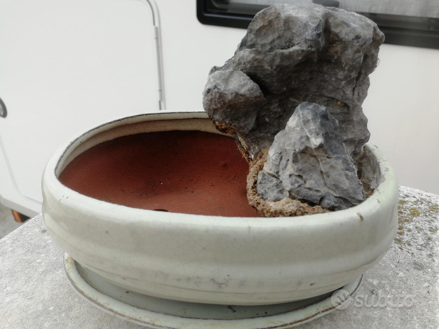 Vaso per bonsai con sottovaso - Giardino e Fai da te In vendita a Brescia