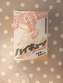 Haikyuu Light Novel