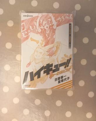 Haikyuu Light Novel