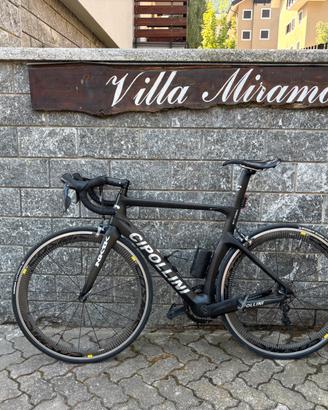 Cipollini NK1K taglia L