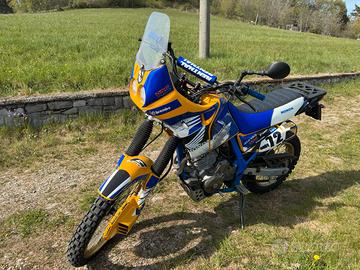 Honda Dominator Rally Style