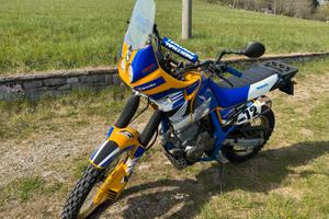 Honda Dominator Rally Style