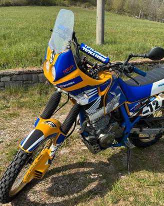 Honda Dominator Rally Style