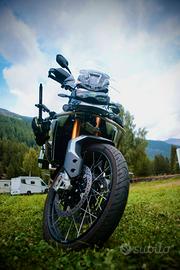 Triumph Tiger 900 rally pro - 2024