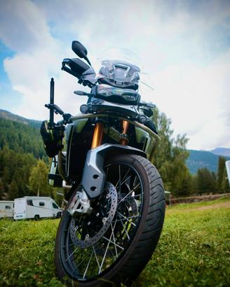 Triumph Tiger 900 rally pro - 2024