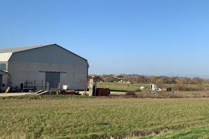 Capannone Torrita di Siena