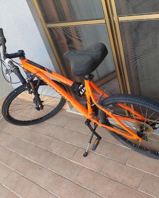 bicicletta 