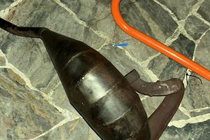 pancia am6 50/70 am6