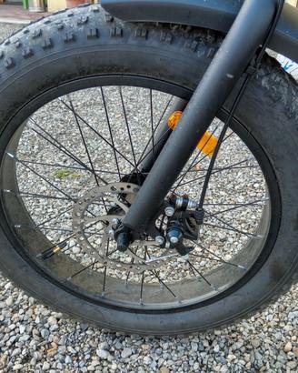 Bicicletta elettrica