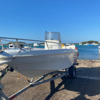 Mingolla young 16 +motore Yamaha 40 cv+ carrello