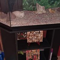 acquario con mobile in legno nero