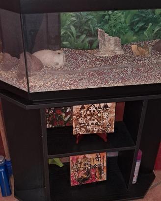 acquario con mobile in legno nero