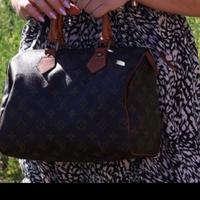 Louis Vuitton Borsa Speedy 25