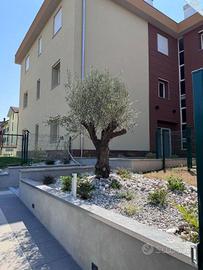 Appartamento di 114 m² con 3 locali a Vignate