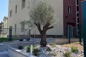 Appartamento di 114 m² con 3 locali a Vignate