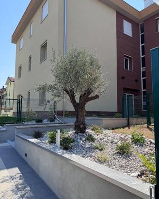 Appartamento di 114 m² con 3 locali a Vignate