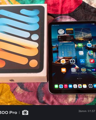 IPad mini 7 128Gb Azzurro 