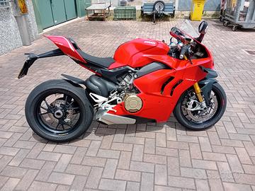 Ducati Panigale V4 S - 2020