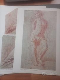 Gian Giacomo Barbelli - Disegni inediti Accademia