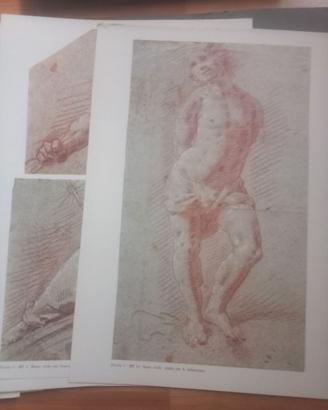 Gian Giacomo Barbelli - Disegni inediti Accademia