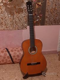 chitarra sheffield