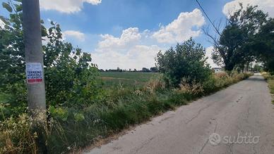 Terreno su strada principale