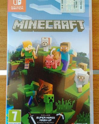 Nintendo Switch Minecraft