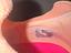 Immagine 6