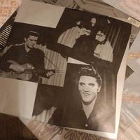 Vinile Elvis the Great performances