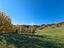 Immagine 20