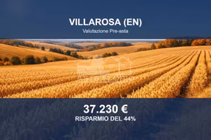 Immobile in asta di 114040 m² a Villarosa