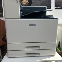 Stampante xerox