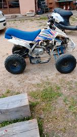 Quad "Monster"