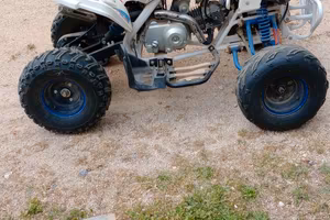 Quad "Monster"