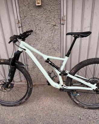 MTB Specialized