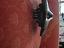 Immagine 3