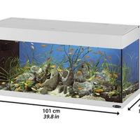Acquario mai usato. (Non spedisco). 