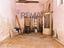 Immagine 11