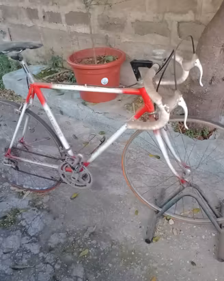 bici da corsa vintage colnago